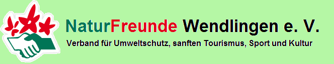 NF-Wendlingen-Banner4